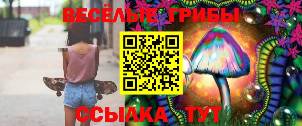 Галлюциногенные грибы GOLDEN TEACHER Кингисепп