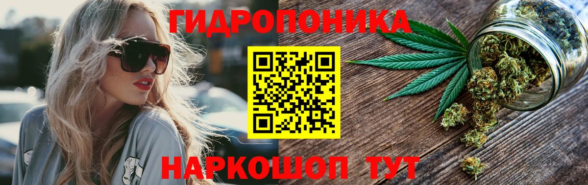 Каннабис марихуана  Бошки Шишки ГИДРОПОН  Кингисепп  Канабис гибрид  Вход с VPN 